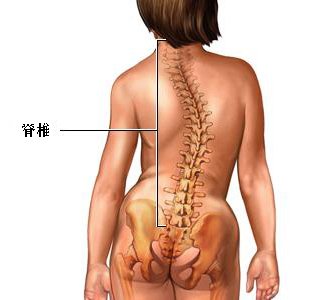 强直性脊柱炎有哪些功能训练